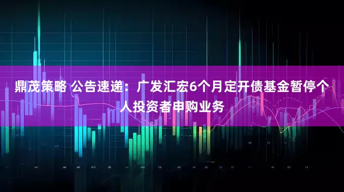 鼎茂策略 公告速递：广发汇宏6个月定开债基金暂停个人投资者申购业务