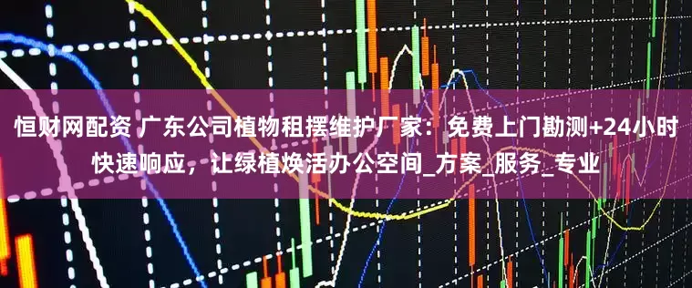 恒财网配资 广东公司植物租摆维护厂家：免费上门勘测+24小时快速响应，让绿植焕活办公空间_方案_服务_专业