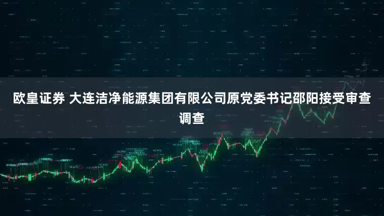 欧皇证券 大连洁净能源集团有限公司原党委书记邵阳接受审查调查